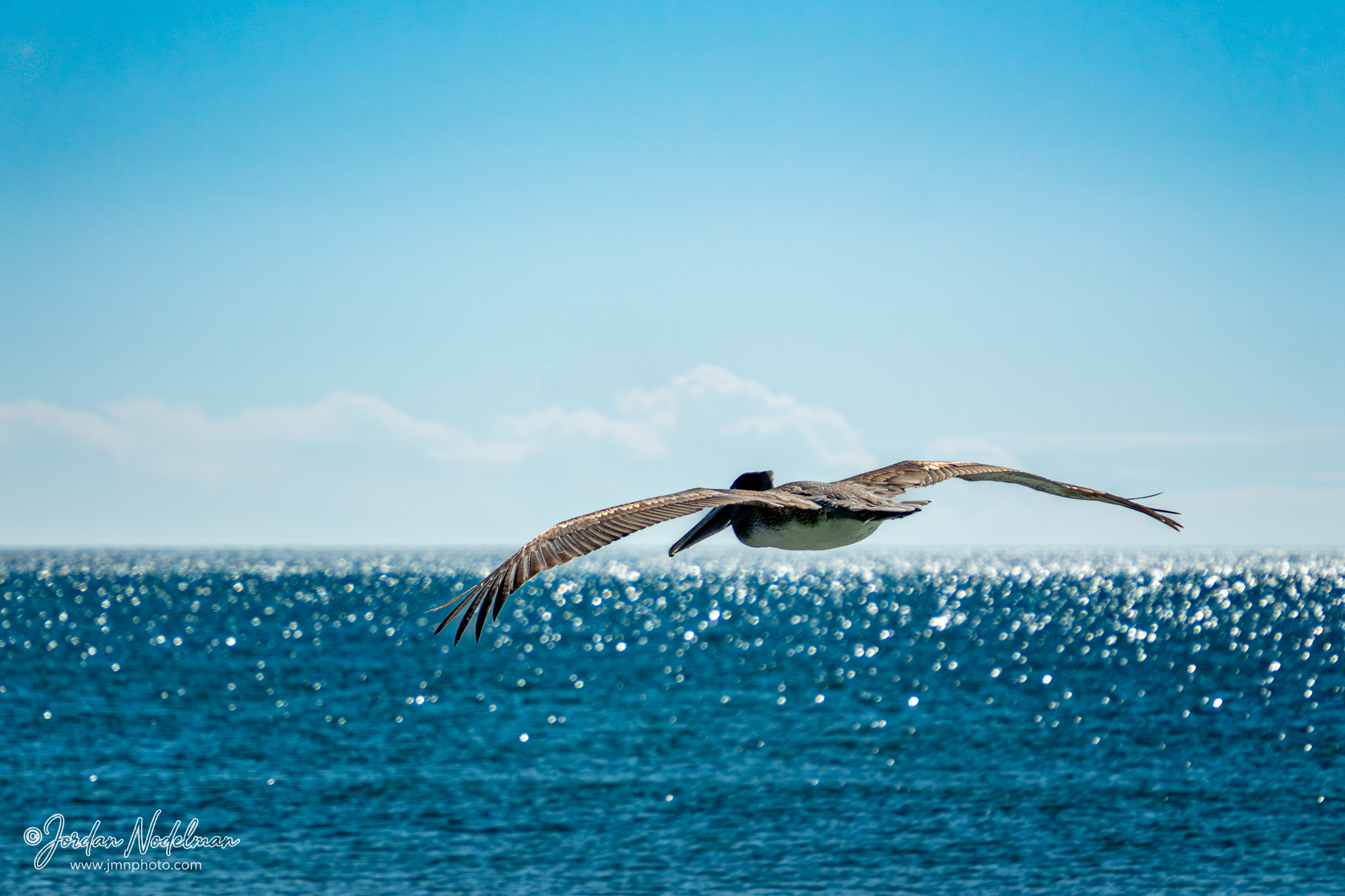 Fort Lauderdale's Best EMDR Therapist